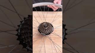 Freehub or Freewheel? How To Tell The Difference