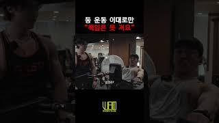 등 운동 이대로만  책임은 못 져요