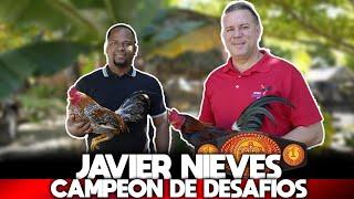 Entrevista al gran gallero boricua Javier Nievez; 829 835 7358