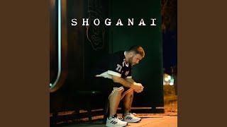 Shoganai