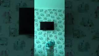 АХАХАХАХАХ