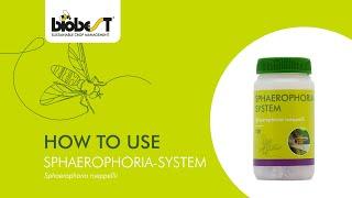 How to use Sphaerophoria-System from Biobest