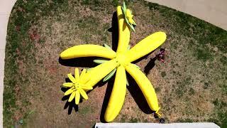 Art in Bloom: Coneflower Inflatable in the Park