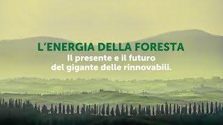 L’energia della foresta - Presente e futuro del gigante delle rinnovabili.