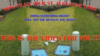 HOW TO FIX YOUR ST. AUGUSTINE LAWN!! ***Lawn always dry, pale, and thin?***