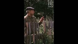 ФЕДОС И ТИМОФЕЙ ОТ КОТОРОГО ОДНО ПАСКУДСТВО | Белые росы