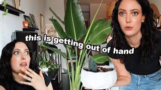 Chaotic Apartment Gardening *I HAVE TOO MANY PLANTS*