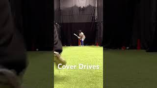 Cover Drives