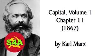 Capital Vol. 1, Chapter 11 (1867) by Karl Marx. Audiobook + Discussion of Marxist Theory