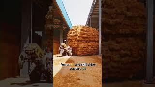 мошь трактора #ферма #cute #сельскоехозяйство #viral #subscribe #cat #top #жизнь #combat #мир