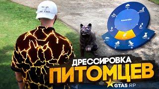 КАК ДРЕССИРОВАТЬ ПИТОМЦЕВ GTA 5 RP | ГТА 5 РП