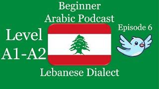 Learn Arabic Podcast | Lebanese Dialect | Level A2 Episode 1: Rana and the Bird