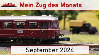 Mein Lieblingszug im September 2024 (Spur Z / Z Scale)