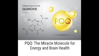 PQQ: The Miracle Molecule for Energy and Brain Health