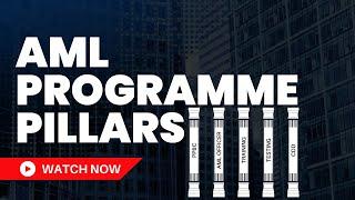 The 5 Pillars of an AML Compliance Programme