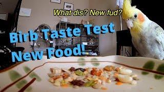 Fun Birb Taste Test - New Food! - Brown's Tropical Carnival Fruit & Nut Cockatiel Treats