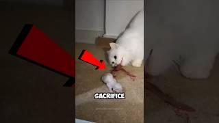 Animals that eat their babies