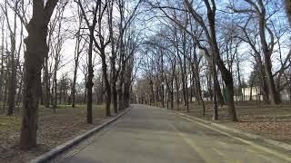 4K Winter Walk in Nicolae Romanescu Park Craiova Part 2 | Romania Walking Tour