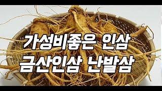 가성비좋은 인삼 금산인삼 난발삼