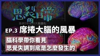 思裂的日常》大腦生病了！腦科學解密 思覺失調怎麼發生的？（公共電視 - 有話好說）