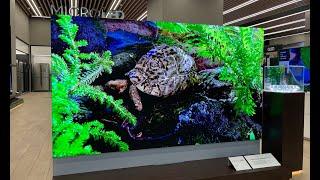 First look: Samsung's 110" microLED TV