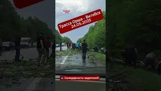 #Солидарность беларусских водителей в действии #беларусь #дорога #авто #авария #дальнобой #помощь