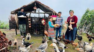 Milking Cows and Making Organic Cheese, Cooking Local Chicken in a Unique Way