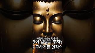 부처님의 열반 가르침 #법화경 #부처님 #열반