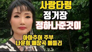 소리마당 재능기부 먹거리 봉사단 아마추어 주부가수 나훈희 애창곡 메들리 사랑타령 정거장 정하나준것이 music video Korea's latest song. 스테레오 싸운드트랙