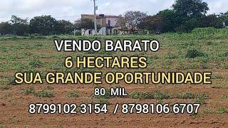 VENDO OU TROCO ESSE LINDO SÍTIO 6 HECTARES 80 MIL 8799102 3154  / 8798106 6707