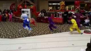 NoVa Wushu Fair Oaks 2015