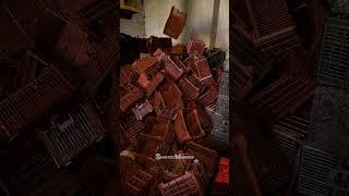Plastic Basket Production with Molding Machines – Easy & Efficient