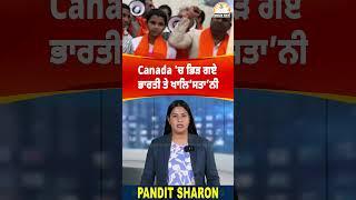 Canada 'ਚ ਭਿੜ ਗਏ ਭਾਰਤੀ ਤੇ ਖਾ/ਲਿ/ਸ/ਤਾ/ਨੀ #shorts #trendingshorts #viralshorts