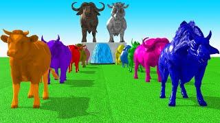 Paint Animals Cow Cartoon,Buffalo,Bull,yak,Ox, Bison Fountain Crossing Animal Transformation Game