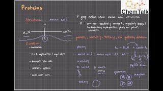 Biological Macromolecules Part 2: Proteins