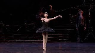 BTS BLACK SWAN ORCHESTRA BALLET