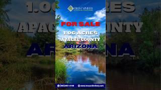  Land for sale - 1.6 Acres of Serenity and Splendor in Apache, Arizona #landforsale #realestate