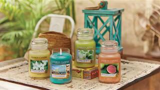 Yankee Candle Viva Havana Collection