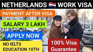 Netherlands Country  2 Year Work visa | payment After visa | Salary ₹ 3 Lakh