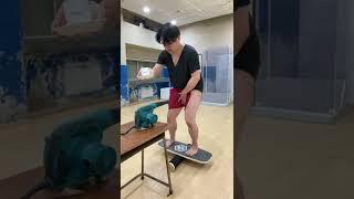 Wes-P funny video  | Balance Board Tablecloth Pull Challenge with Blower Bloopers ver. Part81