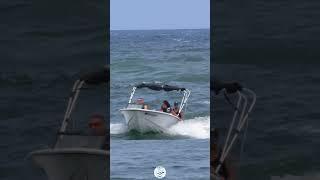The thought did cross their mind - but left really quick | Boca Inlet #boatlife #boating #summer