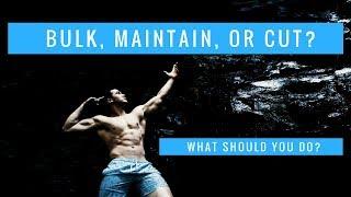 SHOULD YOU BULK, CUT, OR MAINTAIN? | Evaluating yourself w/ Alan Jaramillo