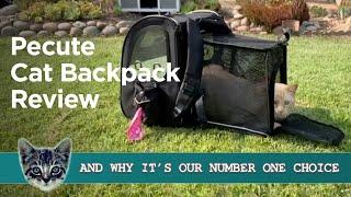 Pecute Cat Carrier Backpack Review : What My Cats Think Of It!