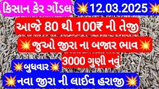 નવુ જીરુ ના ભાવ | જીરુ ના ભાવ | જીરુ નો ભાવ jeera na bajar bhav | Gondal marketing yard 12-03-2025