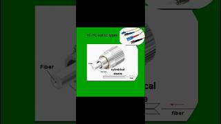 Ferrule in fiber optic cabling