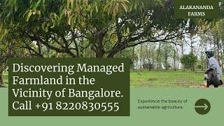 managed farmland near bangalore - managed farmland near bangalore - hosur's aira farms