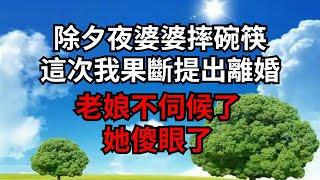 除夕夜婆婆摔碗筷，這次我果斷提出離婚：老娘不伺候了，她傻眼了！【煙雨夕陽】#為人處世 #爽文 #情感故事 #深夜讀書 #幸福人生
