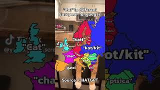 "Cat" in different European languages #europe #mapping #sigma #cat #shorts #viral