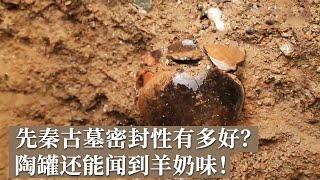 西北地区数量最多 保存最为完好的先秦时期墓葬群！青海本土考古学文化研究！《探索·发现》2024考古进行时 第三季 青海夏尔雅玛可布遗址发掘纪实（一）丨 中华国宝