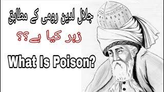 What is Poison || Jalal uddin Rumi || General Knowledge 